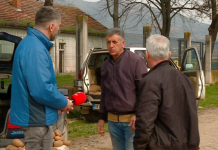 Bujqit e fshatit Brezë ankohen se importi i patates nga jashtë u ka shkaktuar humbje të mëdha