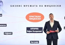 Fërçkoski: Mickoski ka rrjet biznesesh në energjetikë, është e përzier edhe ministrja Bozhinovska