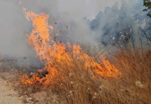 Arrestohet një person në rajonin e Kumanovës, dyshohet se shkaktoi zjarr në pronë të huaj