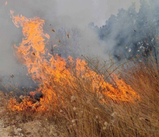 Arrestohet një person në rajonin e Kumanovës, dyshohet se shkaktoi zjarr në pronë të huaj