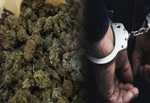 2 persona arrestohen në Gostivar, shkak marihuana