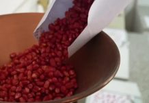 Skandal me farat nga Serbia: Fermerët në Shqipëri marrin vetëm gjethe, jo misër