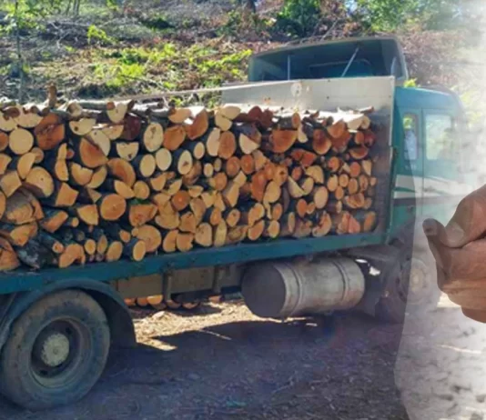 Kallëzim penal kundër tre personave fizikë dhe një personi juridik, dëmtuan buxhetin e NP “Pyjet kombëtare” me mbi tre milionë denarë