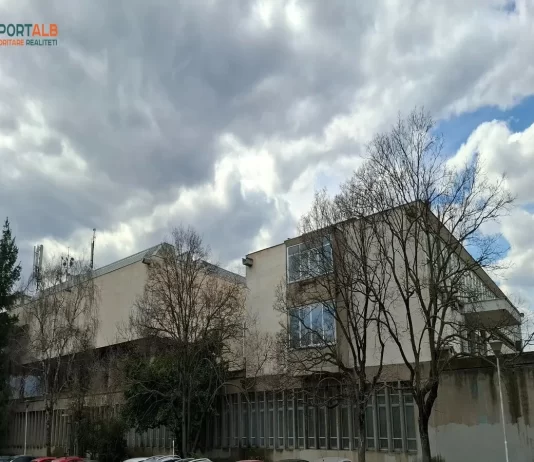 Avni Qahili: Muzeu i Arteve Bashkëkohore nuk do të mbetet më një derë gjysmë e mbyllur për artistët shqiptarë