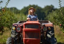 Arrestohet 18-vjeçarja, drejtonte traktorin pa patentë shoferi