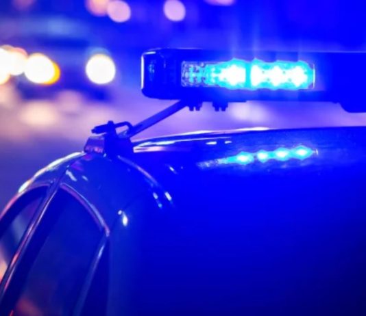 MPB: Arrestohen shtatë persona, goditet një grup i organizuar kriminal i përfshirë në tregti të paligjshme me drogë