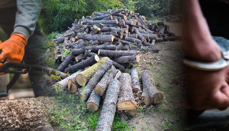 Dy persona arrestohen në Dollnen për sulm ndaj policisë me sharrë elektrike 