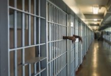 Burgjet në vend janë të mbipopulluara dhe në kushte ç’njerëzore