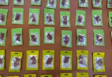 Shpërndanin drogë në formë të karameleve pranë shkollave, Policia në Shqipëri zbulon bazën dhe arreston disa persona