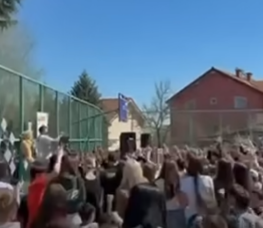 LSDM kërkon përgjegjësi nga ZNAM, lidhur me skandalin e keqpërdorimit të fëmijëve për qëllime politike