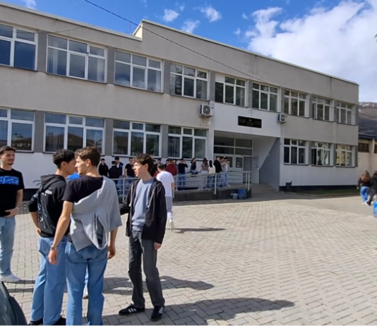 Mbi 90% e shkollave në rajonin e Tetovës pa psikologë, sociologë, dhe defektologëve