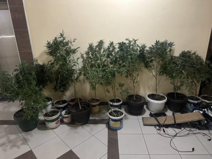 Zbulohet  laboratori  i drogës në Shkup