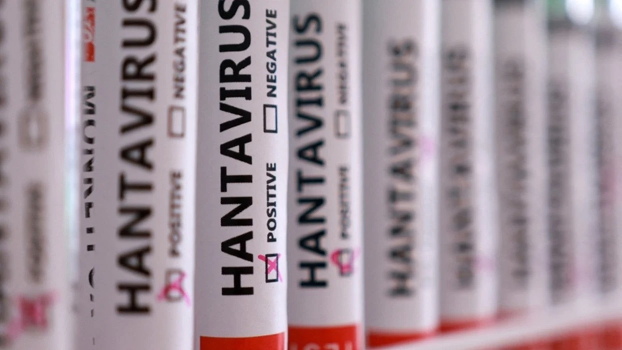 A ekziston një vaksinë për hantavirusin 