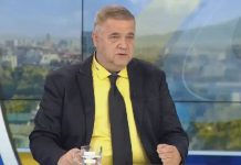 Akademiku Tashev: Maqedonia s’don në BE, por në “Srpski Svet”