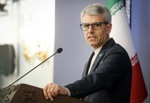 Irani i përgjigjet Ramës: Ndoshta do të thonë se edhe flamingot janë agjentët tanë