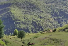 Zhduken dy turistë gjermanë në malin e Polisit në Librazhd, asnjë gjurmë që prej mbrëmjes së djeshme