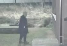 Horror në rrethin e Kumanovës – I vriste për të kryer marrëdhënie seksuale me trupat e pajetë