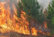 Sot janë shkaktuar 13 zjarre në Maqedoni, një prej tyre është ende aktiv