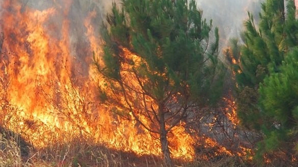 13 zjarre në Maqedoni: Ku janë aktivë dhe pse kanë shpërthyer? 