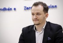 Cakolli nga DV: Ja edhe sa deputet VV mund t’i fitoj nga votat e diasporës