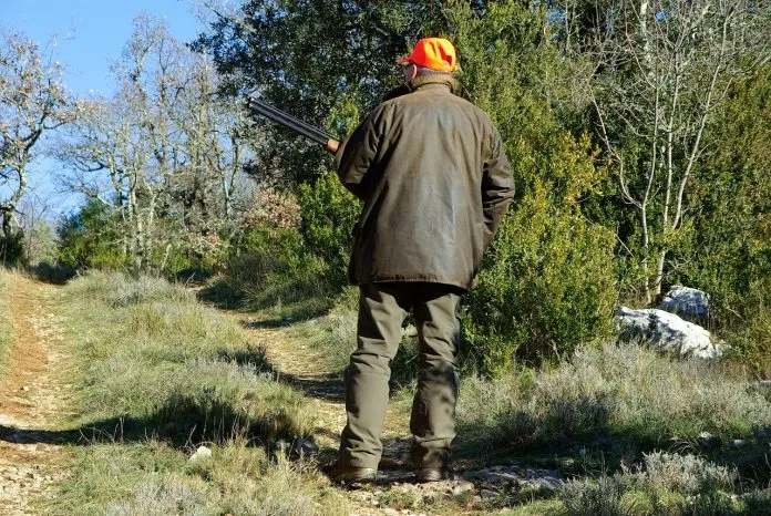 hunt-583086_1280-696x466-1