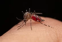 Regjistrohet rasti i parë me virusin Zika në Maqedoni, pacienti u infektua sa ishte për pushime në Maldive