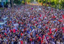 82 Akademikë dhe Shkencëtarë Shqiptarë në Diasporë përkrahje Protestave Qytetare në Shqipëri
