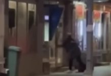 Sulm me sëpatë ndaj një bankomati në Resnjë, arrestohet autori