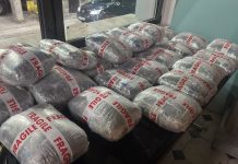 Shtetasi shqiptar arrestohet në Maqedoni, policia i gjen drogë në kamion