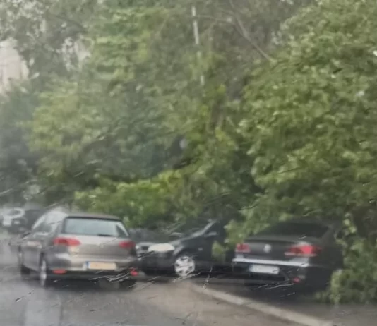 Stuhi e fuqishme godet Shkupin, drunj të rrëzuar dëmtojnë automjete në disa lagje