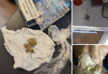 E bastisën dhe i gjetën drogë, arrestohet 58 vjeçari nga Gostivar