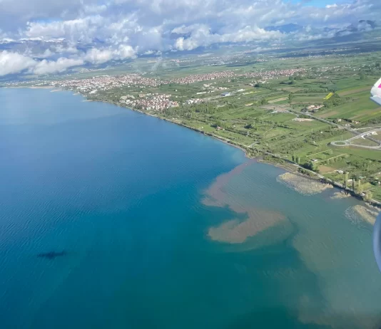 Fekalet dhe ujërat e zeza e ndotin Liqenin e Ohrit, por është i sigurt për larje