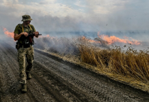 Rusia shënjestron me bomba ndezëse të korrat e Ukrainës