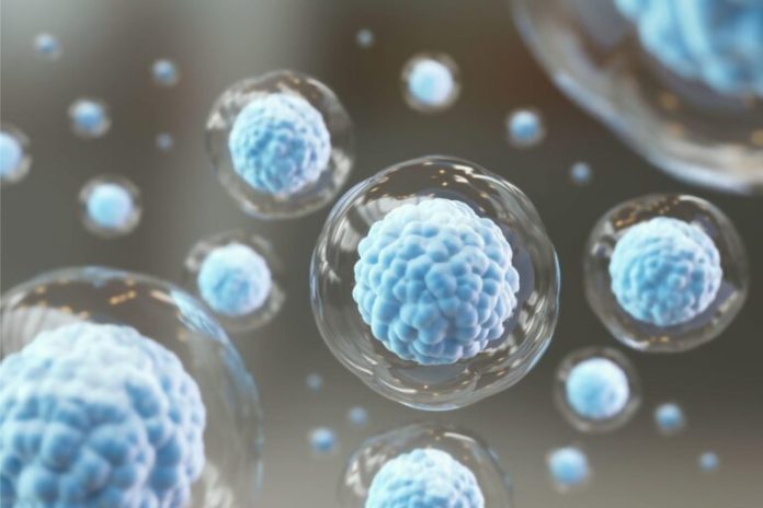 Blue-Cells-Illustration-768x512