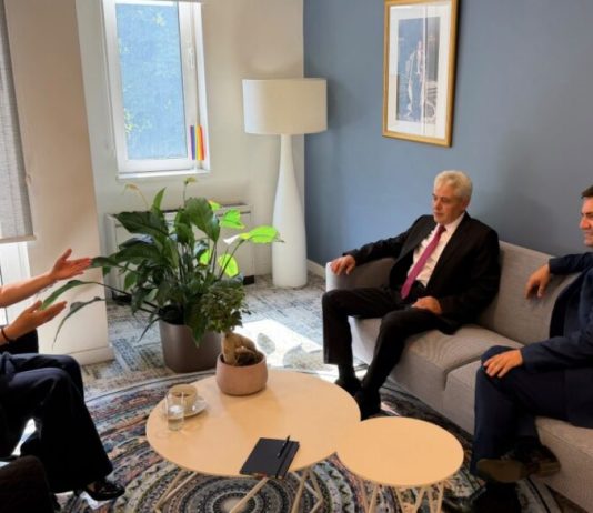 Ahmeti takoi ambasadoren e Holandës: Rruga evropiane dhe Marrëveshja e Ohrit janë themelet e të ardhmes së vendit