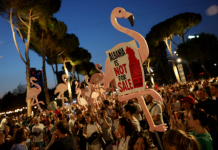 Gazeta belge: Rama gjithnjë e më i izoluar dhe i dobësuar, ‘Revolucioni i Flamingove’ po e trondit regjimin e tij