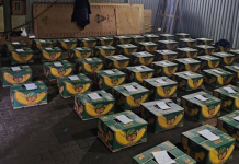 Kush po transporton banane në Rusi e kush kokainë?