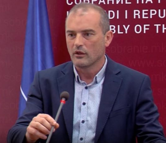 Alo VLEN! Çfarë po ndodh me punësimet në HEC “Mavrovë” në Gostivar?