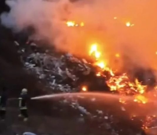 Zjarr në parkun pyjor “Gazi Babë”