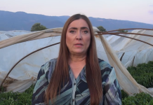 LSDM: Familjet bujqësore po përballen të vetme me pasojat e stuhisë