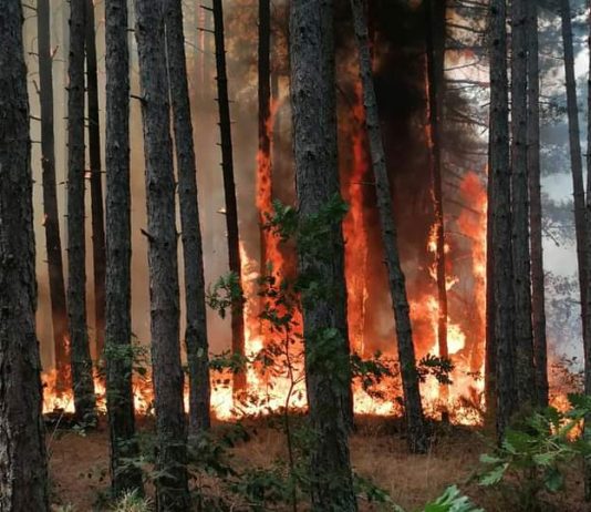 S’ka zjarre aktive në territorin e shtetit
