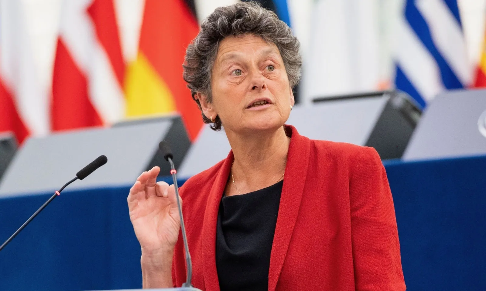 eurodeputetja-tineke-strik-shqiperia-te-luftoje-korrupsionin