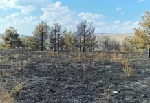 QMK: Gjithsej 14 zjarre në ambient të hapur, dy ende aktivë