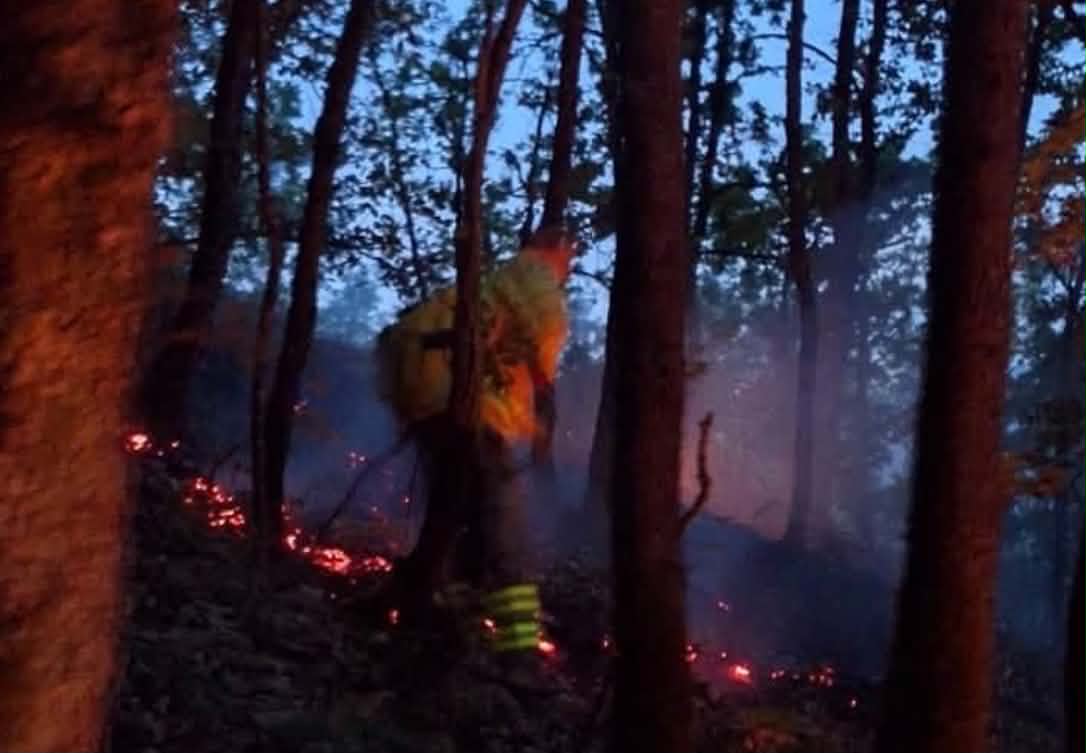 Me përpjekje mbinjerëzore, shuhet zjarri pranë Dibrës