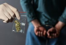 Policia arrestoi 6 shkupjanë dhe një serb, gjeti drogë në disa lokacione