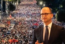 “Një grusht njerëzish kanë privatizuar hapësirat publike”, Ditmir Bushati: Protestat në Shqipëri, më shumë se thjesht mbrojtja e natyrës