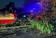 Aksident i frikshëm në Tetovë, përplasja e fuqishme mes dy veturave rrëzon edhe drunj