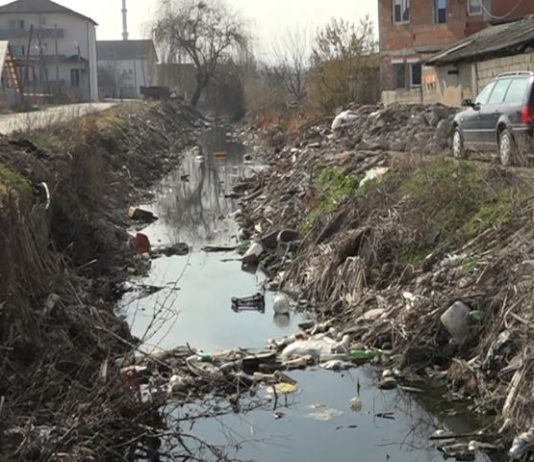 Mushkonjat dhe kanalet plot me ujë të ndenjur – a do të ndihmojë spërkatja?