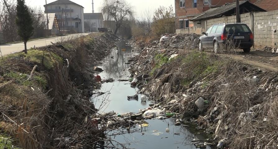 Mushkonjat dhe kanalet plot me ujë të ndenjur – a do të ndihmojë spërkatja?