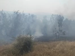 Tre zjarre aktive në Tetovë, Ameti: Zjarrfikësit po përballen njëkohësisht me disa vatra